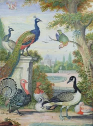 Exotic Birds and Domestic Fowl in a Picturesque Park, early 18th century